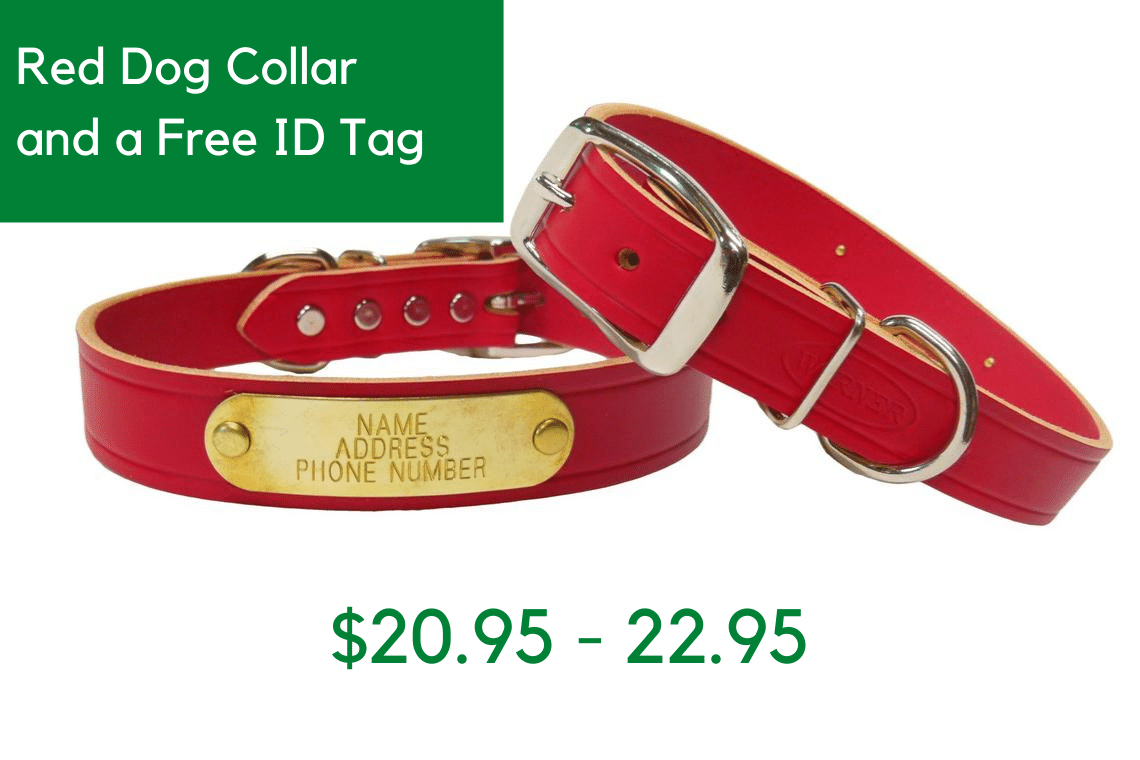 Warner Cumberland Leather Dog Collar with Free ID Nameplate